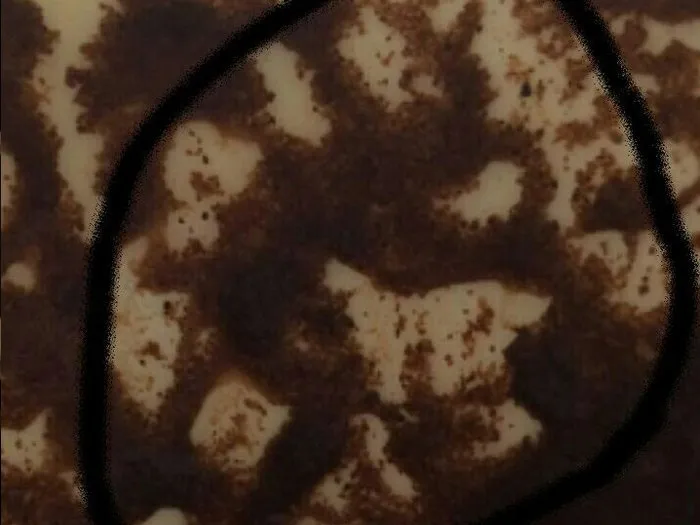 Запись на консультацию к гадалке в Сургуте